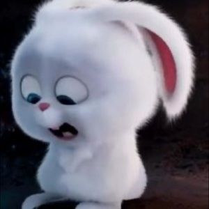 Meet your Posher, Mera